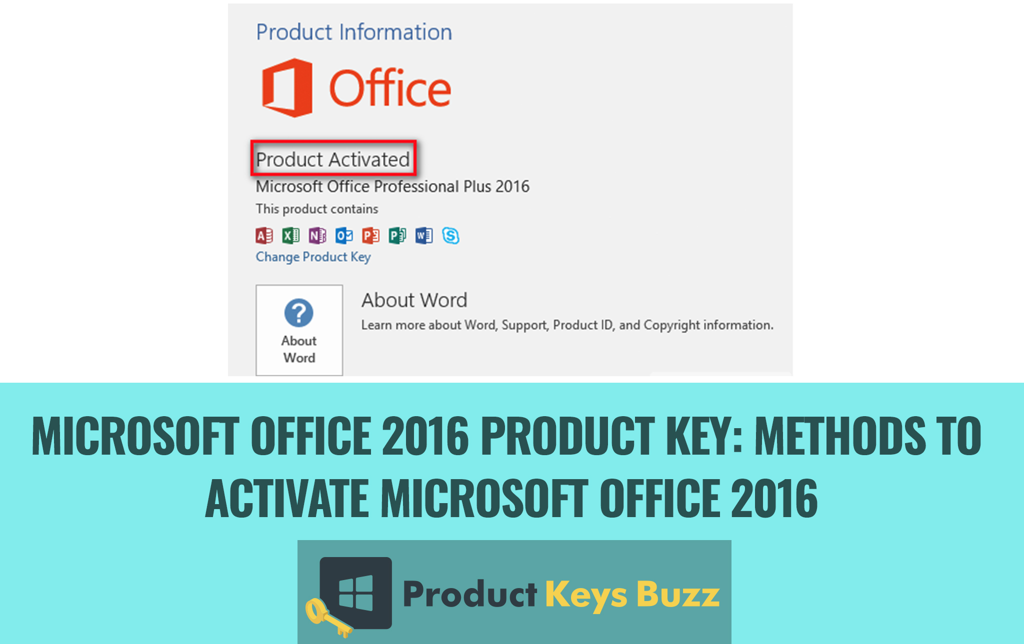 Enter Product Key For Microsoft On Mac - seojpseobb